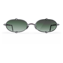 Heritage Cerclée Or Gris & Bois d'Amarante & 8 Diamants — verres verts — vue de face
